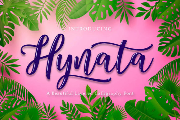 Hynata: A Playful Script Font